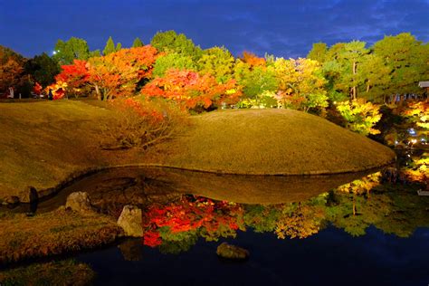 朱雀花|朱雀の庭｜【京都市公式】京都観光Nav